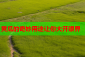 黄瓜的奇妙用途让你大开眼界