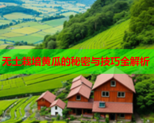 无土栽培黄瓜的秘密与技巧全解析  第1张