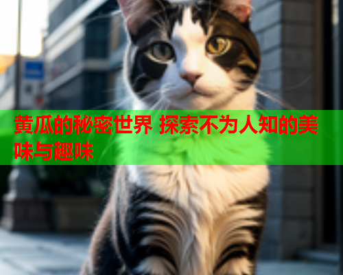 黄瓜的秘密世界 探索不为人知的美味与趣味  第2张